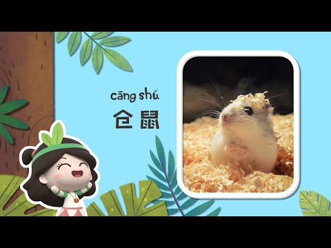 幼儿科普丨认识动物 |仓鼠嘴里能藏多少食物？| Preschool Learning Cartoons |basic science concepts for kids