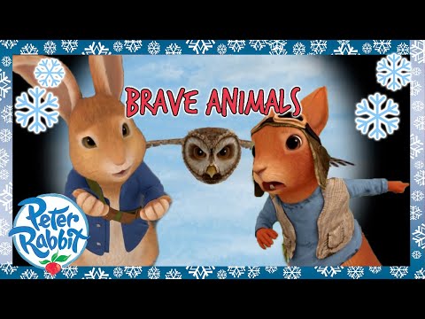 @OfficialPeterRabbit  - 💪🐰 Most Heroic Animals Compilation 💪🐰 | 1+ Hour | Cartoons for Kids