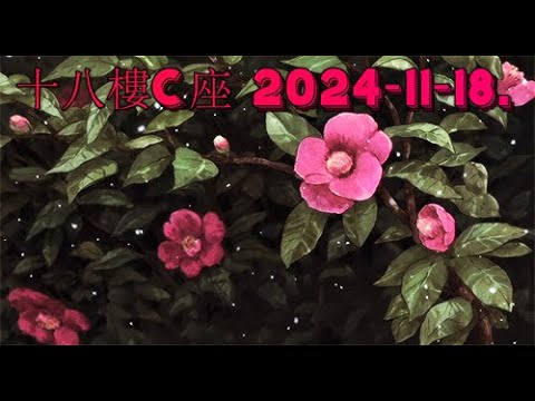 十八樓C座 2024-11-18.