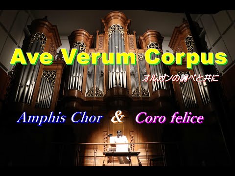 「Ave Verum Corpus」　Amphis Chor ＆ Coro felice