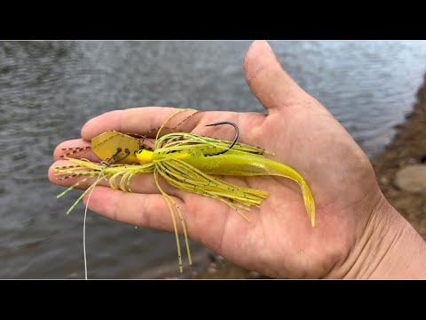 【バス釣り】10月末〜11月に死ぬほどお世話になるルアーです