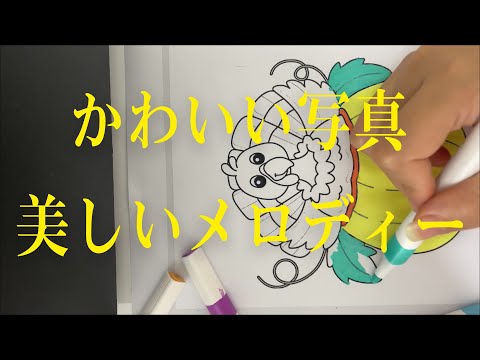 今日は私の情熱に満足しています。かわいい絵と美しいメロディー