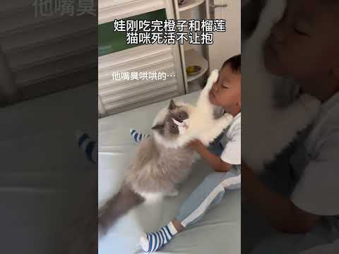 猫咪不让孩子抱是有理由的… #萌娃和萌宠