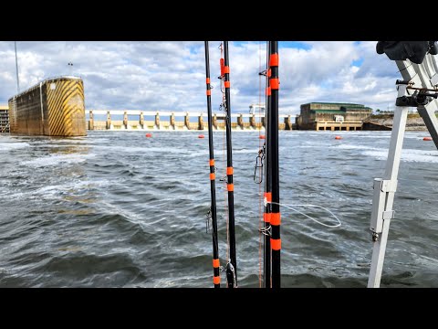 BIG FISH Are Under This MASSIVE DAM!! (Winter Fishing)