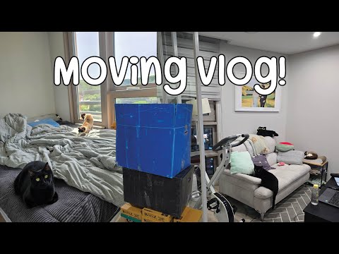 Korean Apartment Moving Vlog! Two Room Officetel Apartment in Seoul Suburb 투룸 오피스텔 투어~