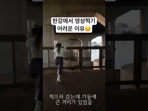 의외의 복병 : 벌레들 #한강#영상찍기#한강공원#영상 #운동하는여자