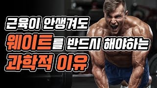 근육이 안생겨도 웨이트 트레이닝 운동을 반드시 해야하는 과학적 이유