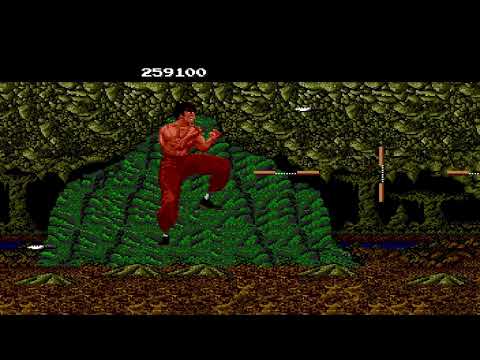 2894 China Warrior Kung Fu PCE PC Engine