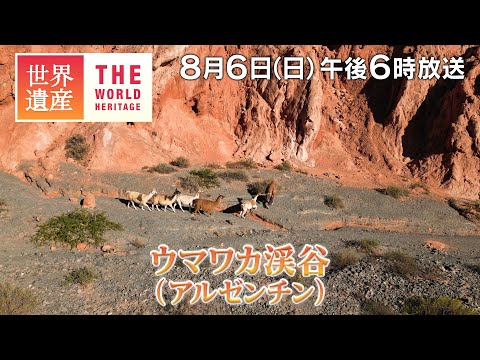 【TBS世界遺産】アンデスの交易路！1万年続く虹の道～ウマワカ渓谷（アルゼンチン）【8月6日午後6時放送】