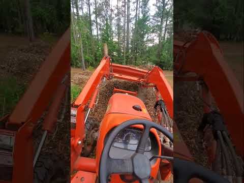 A Load Of Free Pine Mulch