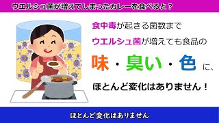 食中毒啓発ファイル　Ｆｉｌｅ3 ウエルシュ菌食中毒