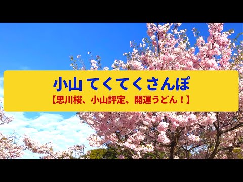 【てくてくさんぽ】小山　街道の分岐点、戦国史を左右させた舞台〈小山評定、日光街道、思川桜〉Walk around Oyama,TOCHIGI JAPAN