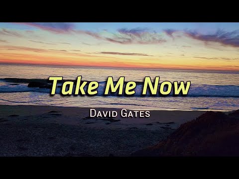 Take Me Now - KARAOKE VERSION - in the style of David Gates