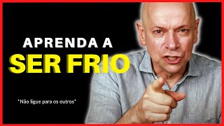 APRENDA A SER MAIS CALMO E SILENCIOSO - Leandro Karnal ( Motivação )