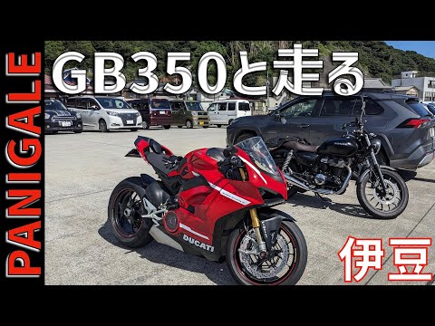 伊豆スカイライン初めて走るGB350君とツーリング！案内はうまくできるか！？