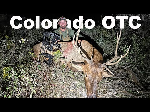 A Colorado Archery ELK HUNT {Catch Clean Cook} OTC Public Land