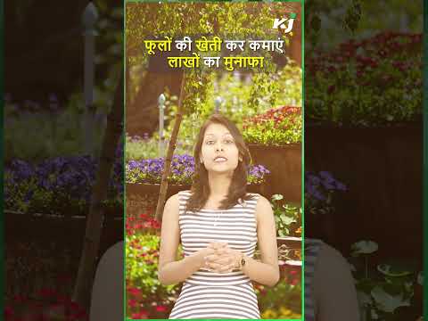 फूलों की खेती कर कमाएं लाखों का मुनाफा | Floriculture | beneficial for farmers | Agri Business