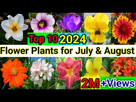 10 Flower Plants for July/ August month's With Care & Names Plants To GROW In JULY-AUG OR In MONSOON