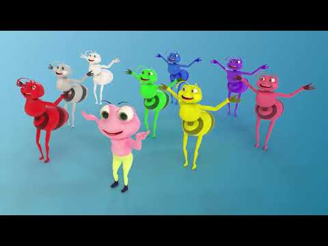 Hormiguitas de Colores con el Baile del Sapito 🔴 Videos para niños 🔴 Videos infantiles para bailar