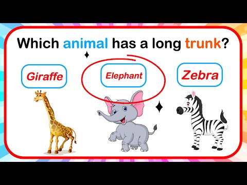 Kids IQ | General Knowledge Questions | Educational Video for Kids | GK Questions for Kids! GK - 2