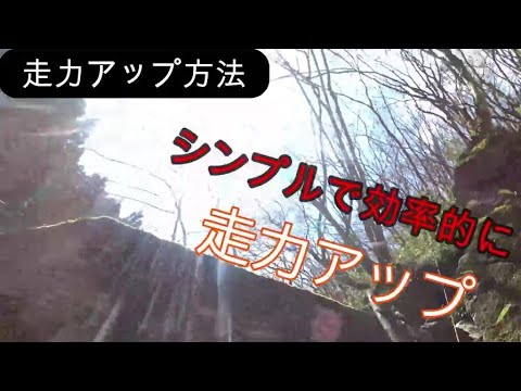 【走力アップ方法】持久力をつける/長距離が速くなるフルマラソンが速くなる/サブスリーしたい方/体力アップロードランナー、トレイルランナー不問の内容です。