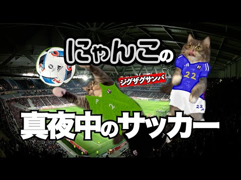 【猫あるある】夜中にサッカーしがち