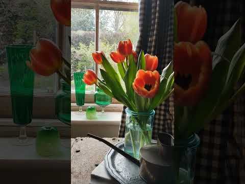 Thursday 18th April, a hectic day, made brighter by the sight of tulips as I walk through the door 😊