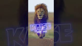 Lion Attitude shayari status Shayari status Attitude shayari #youtubeshorts#viral#shayari#shorts