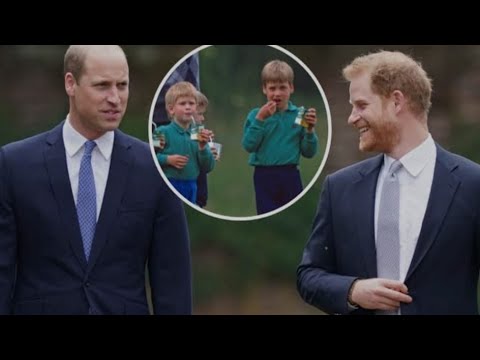 Prince William Extends Olive branch towards the Duke of Sussex Prince Harry