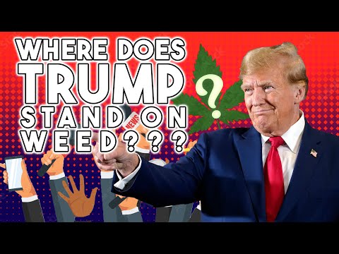 Where do the Candidates Stand on Cannabis? - Trump