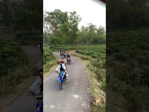 Boy’s bike riding group in a tea garden #shorts #bikelover #shortsfeed #bikelife #bikeride