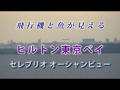 ホテルライフ楽しんだ、ヒルトン東京ベイホテル