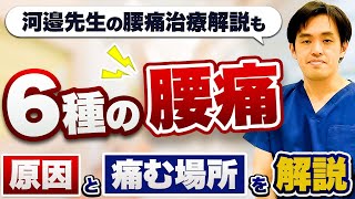 6種の腰痛　原因と痛む場所を医師が解説　河邉先生の腰痛カテーテル治療の解説も！