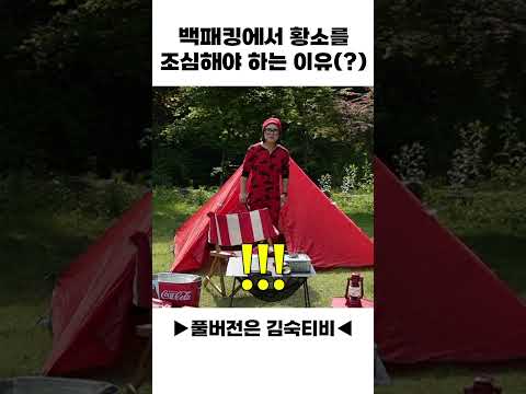 백패킹에서 황소를 조심해야 하는 이유(?)