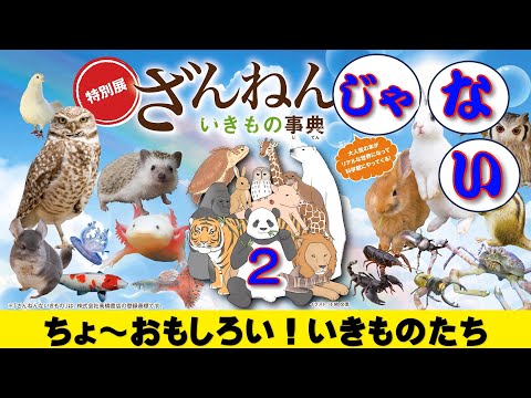 大人気の「ざんねんないきもの事典」に対して、「ざんねんじゃない」いきもの事典の第二弾です。こんな「いきもの」がいたらちょ～おもしろい。ぜひ、みんなで笑ってください。