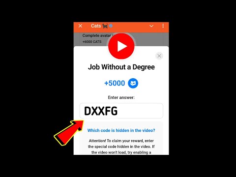 Job Without a Degree Cats Code | Job Without a Degree cats video code today