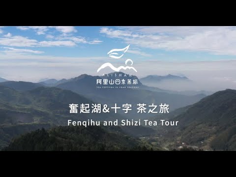 2021阿里山春季線上茶旅-奮起湖&十字 茶之旅-Alishan Tea Festival In Four Seasons