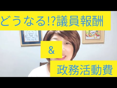 『何も知らない人間が市議会議員になったらシリーズ！』〜報酬審議会で決まる!?今後の議員報酬と政務活動費〜