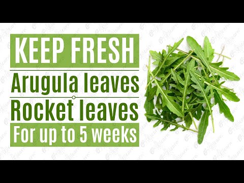 How to keep Arugula Leaves Fresh & Crisp Longer for 5 WEEKS in the fridge, Green Salad leaves Fresh