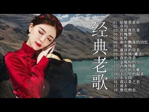 【中國藏歌】《爱江山更爱美人，姑娘我爱你，再唱山歌给党听，草原之夜，天籁之爱 ，雨中飘荡的回忆，乌苏里船歌》【经典老歌】西藏民歌 | Tibetan Chinese Songs