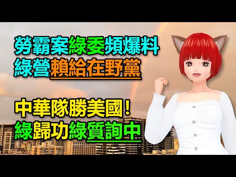 勞霸案綠委綠議員頻爆料，綠發言人卻賴給在野黨操作｜中華隊勝美國！邱議瑩歸功綠質詢中🍓20241122 #高雄林小姐 #Vtuber​​​​ #台灣Vtuber​​​ #台V