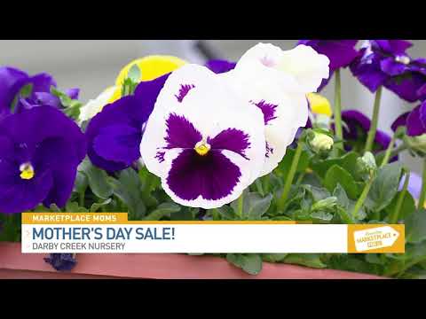 Darby Creek Nursery - Mother's Day Sale! 050721