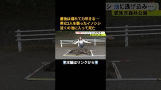 ⬆️本編はリンクから⬆️推定8歳のオスで体長140cm…男女2人を襲ったとみられるイノシシ 池に入って逃げるもそのまま力尽き死ぬ