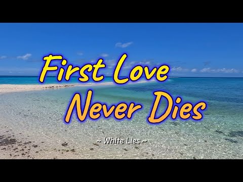 FIRST LOVE NEVER DIES - (Karaoke Version) - in the style of White Lies