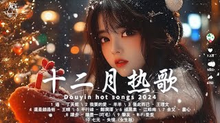 「無廣告」十二月熱門歌曲最火🔥2024流行歌曲：我要的愛 - 羊羊，僅此而已 - 王理文，還是錯過他 - 王晴，褪黑素🔥Tiktok songs 2024 douyin 抖音歌曲2024