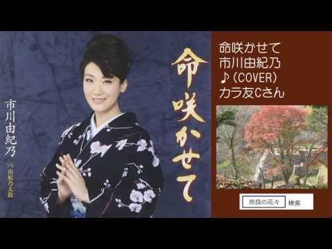 命咲かせて　市川由紀乃　♪COVER　uguis karaoke　カラ友Cさん