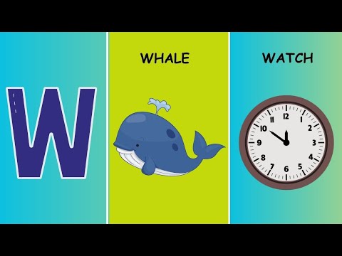 Letter W | Words Starting with W | W Words In English | ABC Flashcards