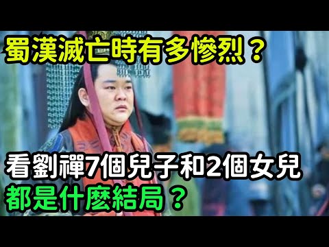 蜀漢滅亡時有多慘烈？看看劉禪的7個兒子和2個女兒，都是什麽結局？【小菲扒歷史】 #歷史#歷史故事 #古代曆史#歷史人物#史話館#歷史萬花鏡#奇聞#歷史風雲天下#水滸傳