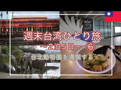 【2泊5日】🇹🇼台湾週末ひとり旅vol.6|台北市立動物園を満喫する