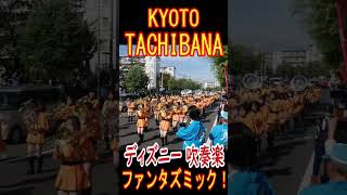 京都橘高校吹奏楽部 ファンタズミック！Kyoto Tachibana　東京ディズニー吹奏楽 　#shorts #ディズニー#パレード 曲